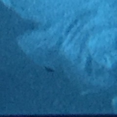 i've gotten lost (demo)