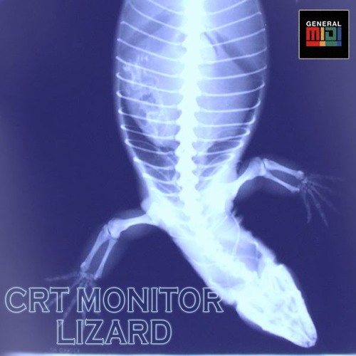 CRT MONITOR LIZARD