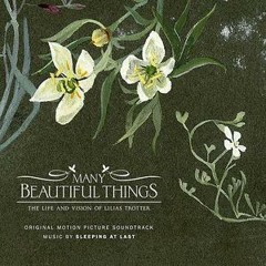 Joy | Sleeping At Last