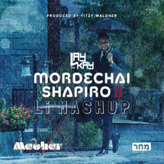 Mordechai Shapiro - Li (Mashup)