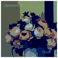 Hook (darwinmcd remix)