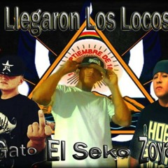 Llegaron Los Locos - El Gato Ft El Seko & Zoyapa