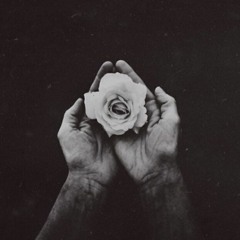 White Rose