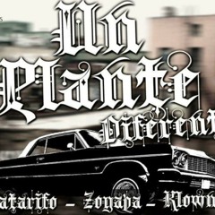 Un Plante Diferente - El Matarifo Ft Klowneey & Zoyapa