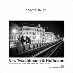 Nils Twachtmann - Spectrum (Lee Jokes Remix)