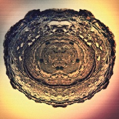 The Novelty Expiration