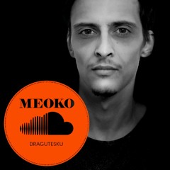 MEOKO Exclusive: Dragutesku