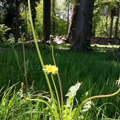 The Finishing (Original Mix)