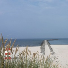 Lalitha Ashtotram (Audio Junkies & Sahar Z Remix)