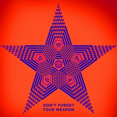 Don't Forget Your Weapon Feat. Joachim Müllner