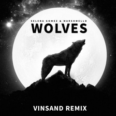 Selena Gomez, Marshmello - Wolves (Vinsand Remix)