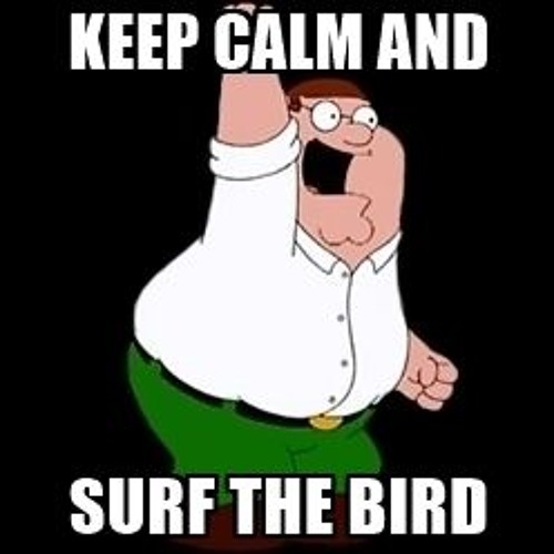 The Trashmen - The Surfin Bird (Mr. Phillips Remix)