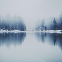Field Journal - Winter 2018