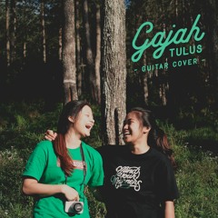 Gajah(Tulus) - Guitar Cover