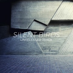 Silent Birds - Unreleased Track