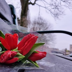 Roses By The River