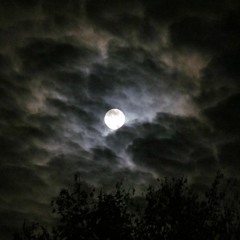 Moon Shadow (Original Mix)