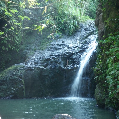 Floating Down Stream ~ Guided Meditation