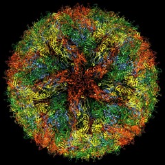 VirusEngine