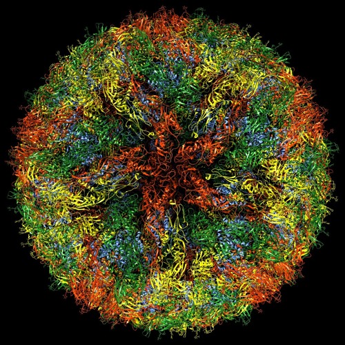 VirusEngine