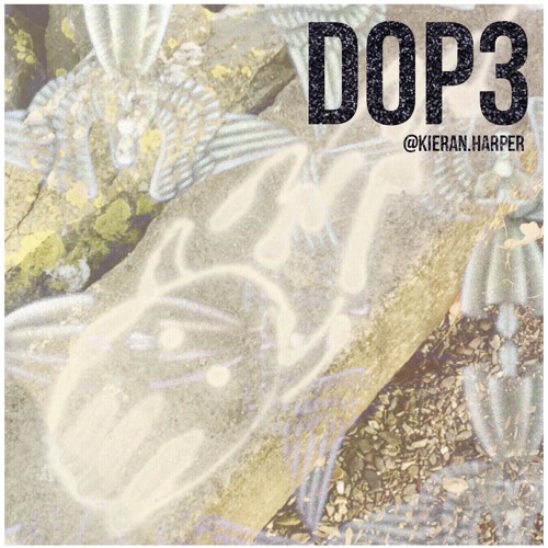 D0P3