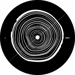 Premiere: B1 - David Gtronic - Sequence EP [BW01]