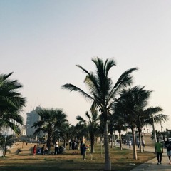 "إطار الصورة"