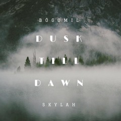 Zayn ft. Sia - Dusk Till Dawn (Bógomil & Skylah Cover)