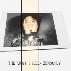 The Way I Feel - ZenSoFly