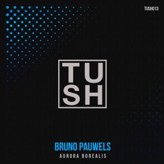 Bruno Pauwels - Aurora Borealis (Original Mix) Snippet