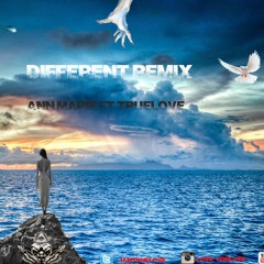 Different Remix Ann Marie Ft TrueLove
