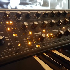 C-Jay - Moog Test 1