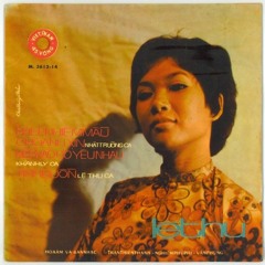 Noi Long - Le Thu (Vinyl-Pre 1975)