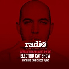 CatCast 41 With Electrik Cat Ft. ZDS (Zombie Disco Squad)