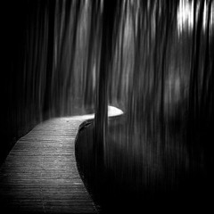 Dyspra - Sentier Instru Complète