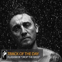 Track of the Day: Flashmob “Drop the Bass”