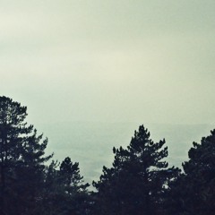 Konditori Förgätmigej