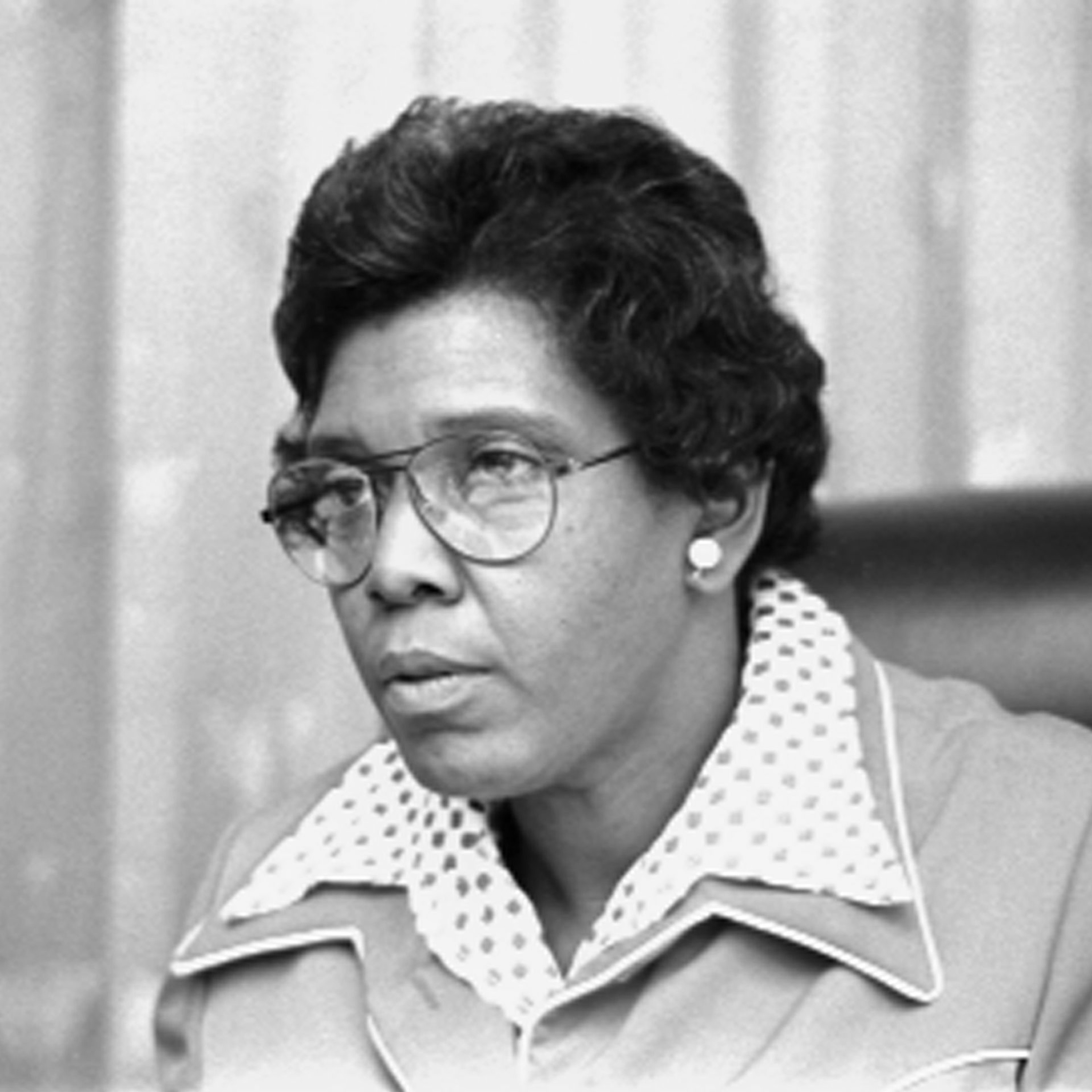 Expert Questions Claim That Barbara Jordan Would Support Trump Immigration Policy episode artwork