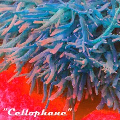 Cellophane