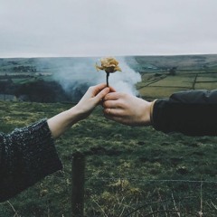 Chào em là người mang trái tim anh đi mất (demo)