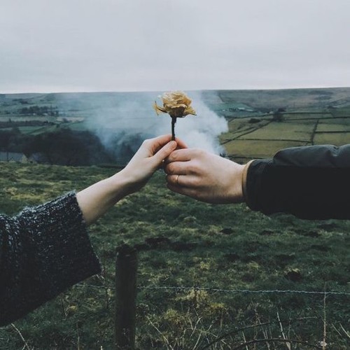 Chào em là người mang trái tim anh đi mất (demo)