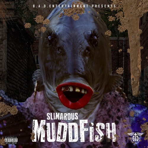 MUDFISH