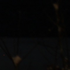 Snarky Puppy Sleeper Cover