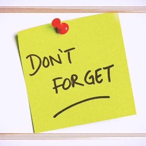 Funny Bunny Song By The Pillows By Walking By The Sea