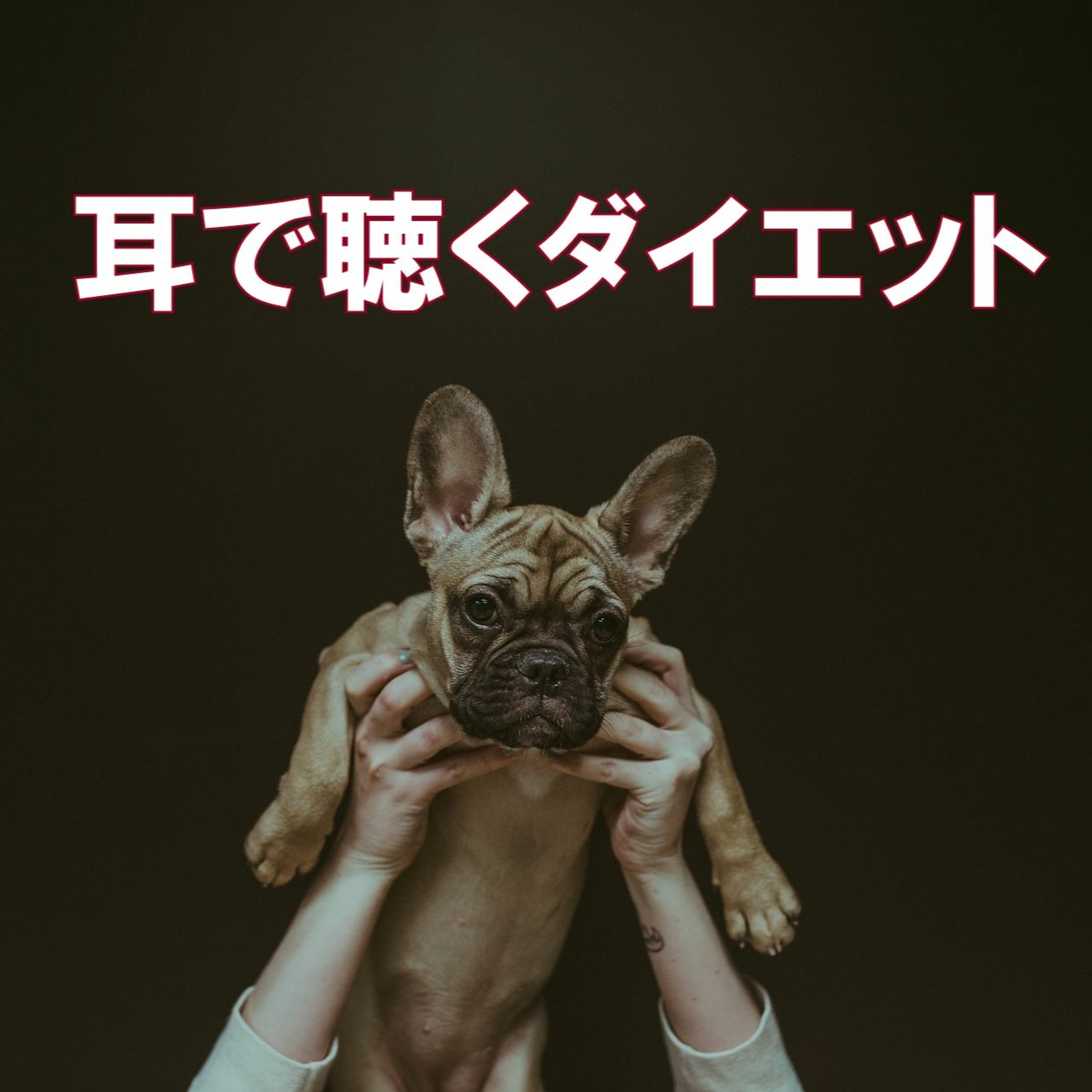 第5回 理想の体に体重は関係ない!