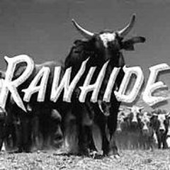 Budo Funk - Raw Hide by Ol Dirty Bastard (Remix)