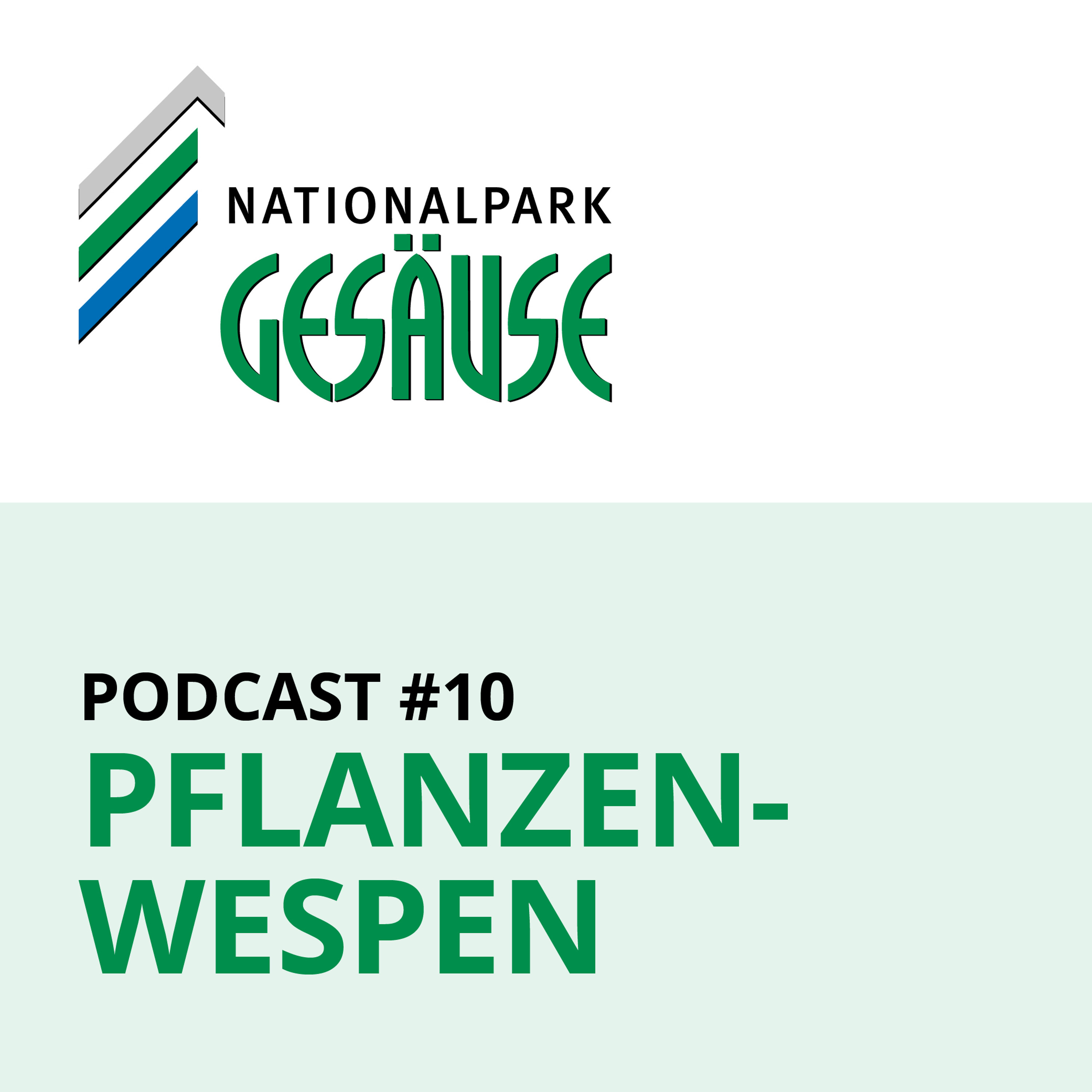 Nationalpark Gesäuse Podcast