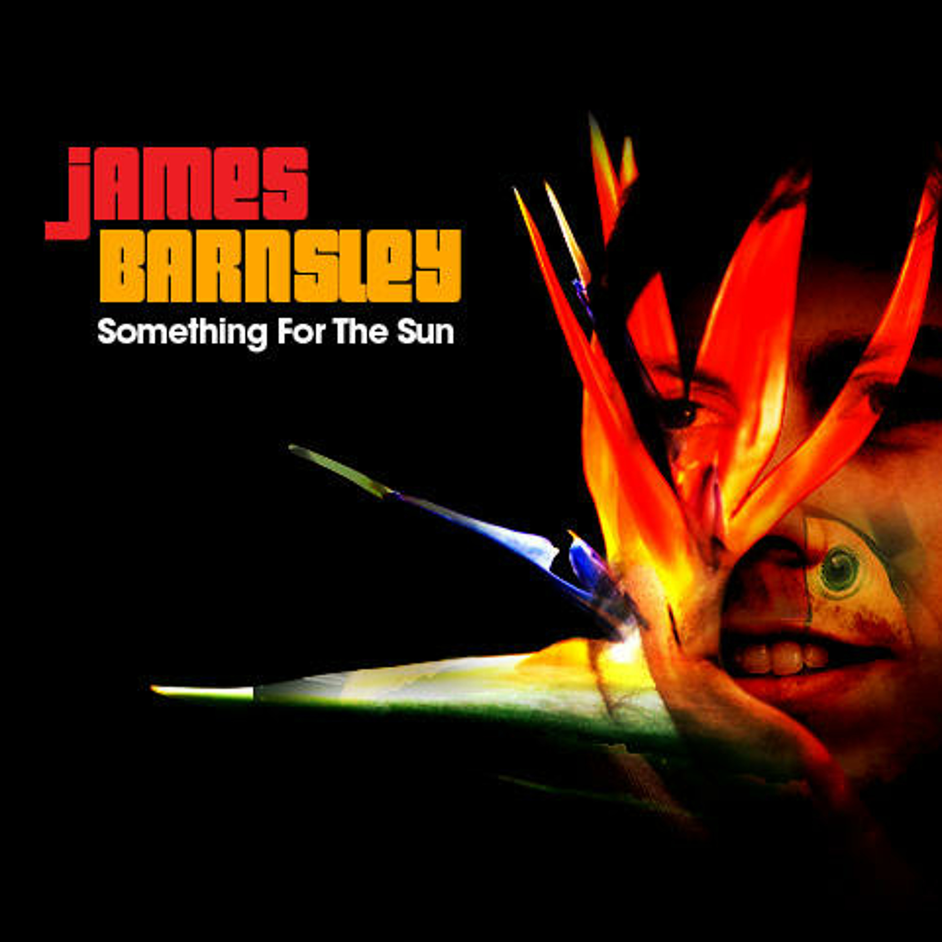 musicforfriends archive : James Barnsley - Something  for the sun