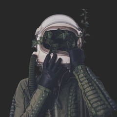 Owlist - Dear MotherFucker