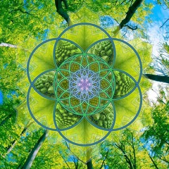 Inner Workings